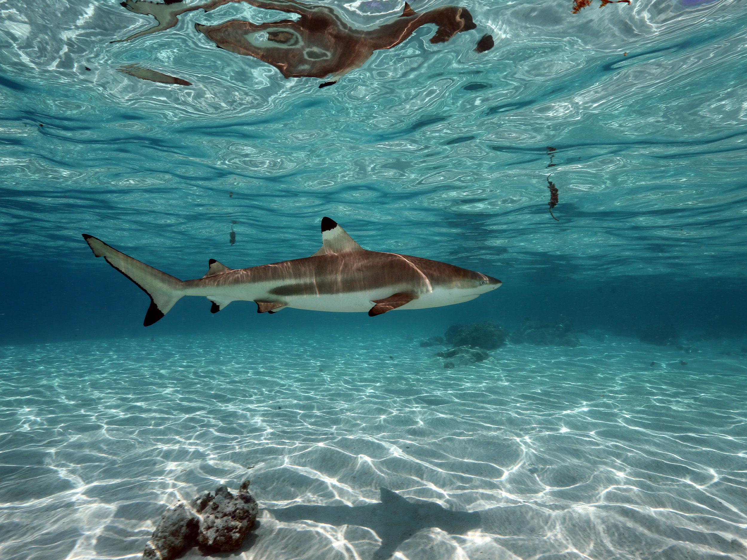 oam tours priv&eacute;s